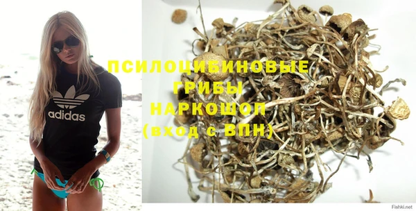 мескалин Нязепетровск